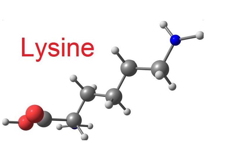 Cấu trúc hóa học L-lysine